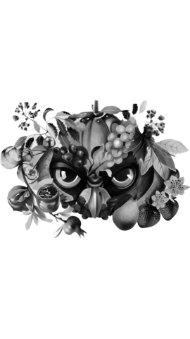 Black Owl